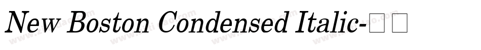 New Boston Condensed Italic字体转换